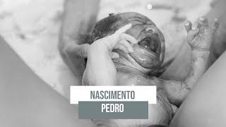 Nascimento Pedro