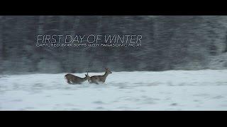 'First Day of Winter' [Panasonic HC-X1 4K 50fps footage]