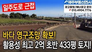 [매물번호0428] 바다 영구조망 확보 활용성 최고 2억 초반 433평 토지!#제주도부동산