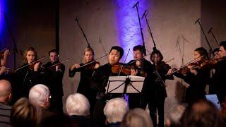 Vaughan Williams: The Lark Ascending | Kerson Leong & Camerata Nordica