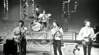 The Barbarians- Hey Little Bird (TAMI Show)