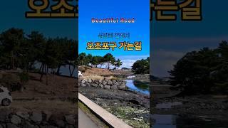 제주 드라이브 코스. "웰컴투 삼달리" 촬영지 오조리 "Beautiful Road"