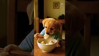 Poor Puppy abandoned in the storm, frnds laughed, heart broken, but love found him