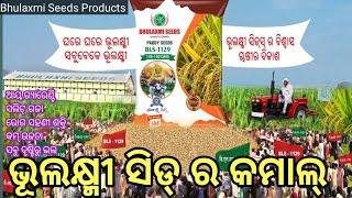 ଭୂଲକ୍ଷ୍ମୀ ସିଡ୍// Bhulaxmi Seeds//BLS 1129 paddy seeds//padmaja// paban