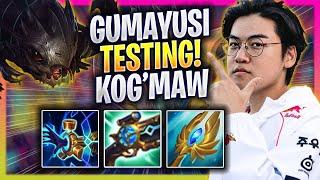 GUMAYUSI TESTING KOG'MAW IN EUW SOLOQ! - T1 Gumayusi Plays Kog'maw ADC vs Yasuo! | Bootcamp 2024