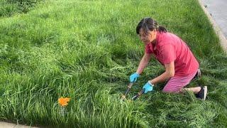 差点遭到罚款的邻居 我帮他一剪问题就解决了