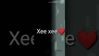 Xee xee