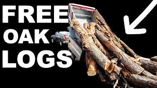 FREE WHITE OAK LOGS... OVER 4 FULL CORDS!!