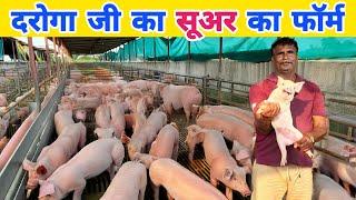 दरोगा जी ने बनाया 400 सूअर का फॉर्म | Pig Farm  पैसा डबल करने वाला व्यवसाय