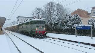 Treno Storico Elettrico di F.T.I. da Trento a Milano con la E646 158