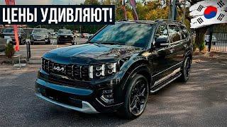 Это самые ВЫГОДНЫЕ авто из Кореи на сегодняшний день! Стоит присмотреться