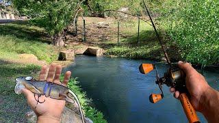 Fishing with MOUSE