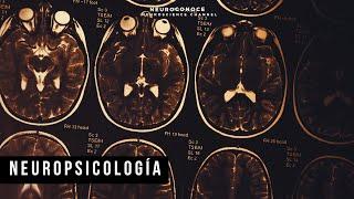 El poder de la neuropsicología: Cómo la ciencia del cerebro puede transformar tu vida.