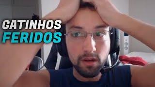 GATINHOS FERIDOS NA ARVORE | DETONA GUTO22 STREAM MOMENTS #8