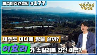 제주도 어디에 땅을 살까? 이효리가 소길리로 갔던 이유