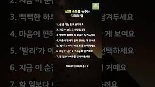 [지혜비타민]  삶의 속도를 늦추는 지혜의 말
