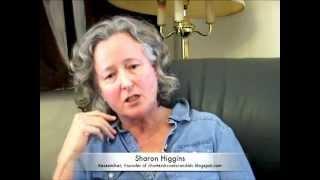 Charters, Privatization Of Education & The Gulen Schools In The US: Sharon Higgins Speaks Out