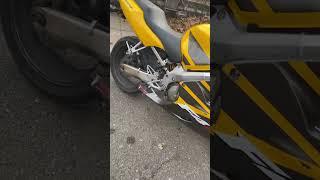 yellow jacket  #reels #motorcycle #explore