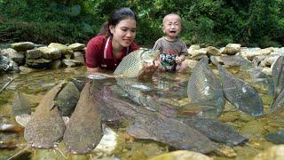 Living alone for 2 years, Harvesting Fish, Papaya, Popcorn to sell Earning money to raise children.