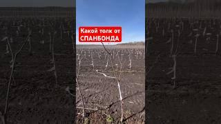 Стоит ли использовать СПАНБОНД