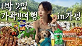 가족오락관 뺨치는 가평계곡 폭식&폭음 여름휴가브이로그 약수터곱창전골+볶음밥•연어새우초밥•두바이초콜릿•양갈비+등갈비구이•제천식빨간어묵•치즈조개구이•하이네켄케그•사세버팔로윙•생생우동