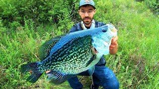 The ONE in a MILLION CRAPPIE!