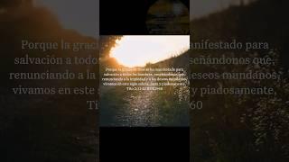 Cuatro Versos Bíblicos Que Debes Escuchar...