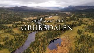 Sveriges Alaska del 3 - Grubbdalen | Vandring, fiske och vildmarksliv.