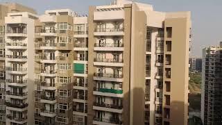 2Bhk Study 1340 Sqft Available For Sale In Gulshan Ikebana Sector -143/Noida Call 7017258796