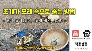 조개가 모래 속으로 숨는 방법 | 해수욕장에서 혼자 노는 3가지 방법 | 전북 부안 고사포