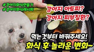 강아지 화식 자연식 후 놀라운 변화! 그리고 강아지가 반드시 먹여야 할 채소, 야채 10가지 #강아지화식 #강아지야채 #강아지채소 【#짱아까미화식 18번째 이야기】