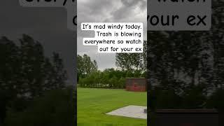 #windy #funny #trash