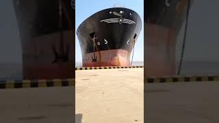 OMG!Biggest Ship Accident️️ #shorts #shortsvideo