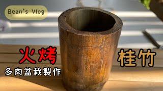 Bean’s Vlog - 烤竹筒當花盆 bamboo fire 丨多肉盆栽製作