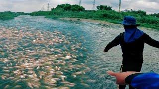 Dito Naipon At Rumagasa Ang Sobrang Daming Isda Dahil Sa Baha