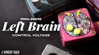 5 Ways to Get Weird with Control Voltage & Ambient Effects // Pedal Brainz Left Brain CV