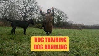 Dog Training and Dog Handling.