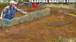 Trapping MONSTER Aquarium Fish in ABANDONED MUD POND!