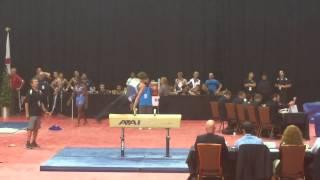 Stephen Nedoroscik JO Nationals Pommel Horse, Finals, National Champion