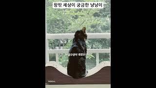 오늘도 바깥세상 탐색중...