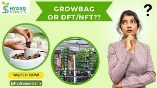 Hydroponics- Growbag with media or DFT/NFT?? Which is better??