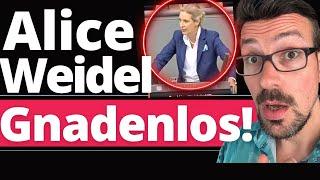 Alice Weidel bringt den Bundestag zum beben!