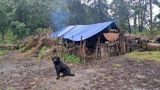 Nepali Mountain village Life in Nepal | very peaceful And Relaxing Rainy Season |Nepali Village Life