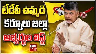 Kurnool TDP Candidates List | కర్నూలు టీడీపీ అభ్యర్థుల లిస్ట్ | BIG TV