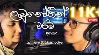 Labunothin Waram ( ලැබුනෝතින් වරම් ) ️‍🩹 - Cover by Chamodya Rajapaksha X Srimani Dasanayaka