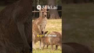 7 fascinating facts about kangaroos