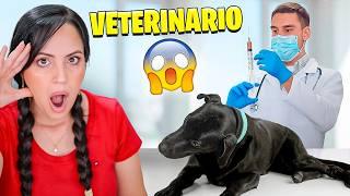 Llevamos a Tito al Veterinario  Sandra Cires Vlog