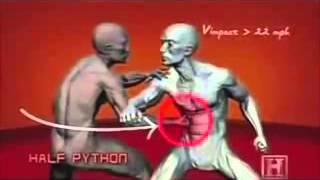 HUMAN WEAPON SILAT TECHNIQUES