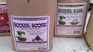 Boogie Brew Compost Tea Mix: Review and How to use