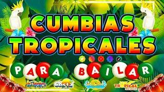 CUMBIAS TROPICALES MIX 2024CUMBIAS PARA BAILARLOS KARKIKS,ALEX BAR,MATEO Y SUS TECALDOS,EL NEGRO